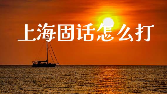 上海固话怎么打_https://m.fansifence.com_贵金属行情_第1张