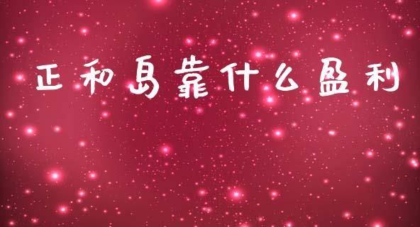 正和岛靠什么盈利_https://m.fansifence.com_公募基金_第1张