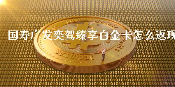 国寿广发奕驾臻享白金卡怎么返现_https://m.fansifence.com_消费金融_第1张