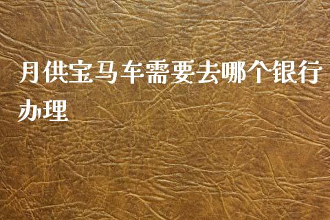 月供宝马车需要去哪个银行办理_https://m.fansifence.com_贵金属行情_第1张