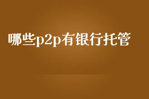 哪些p2p有银行托管_https://m.fansifence.com_个股行情_第1张