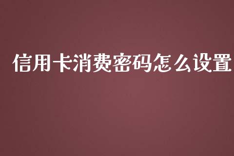 信用卡消费密码怎么设置_https://m.fansifence.com_公募基金_第1张
