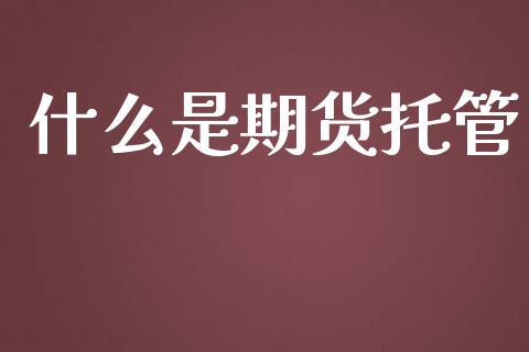 什么是期货托管_https://m.fansifence.com_消费金融_第1张