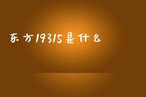 东方19315是什么_https://m.fansifence.com_公募基金_第1张
