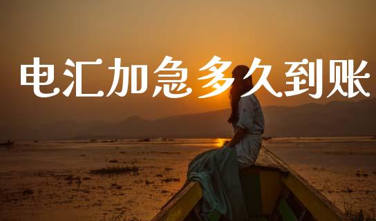 电汇加急多久到账_https://m.fansifence.com_贵金属行情_第1张
