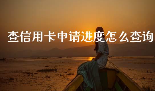 查信用卡申请进度怎么查询_https://m.fansifence.com_公募基金_第1张
