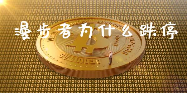 漫步者为什么跌停_https://m.fansifence.com_公募基金_第1张
