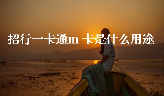 招行一卡通m 卡是什么用途_https://m.fansifence.com_贵金属行情_第1张