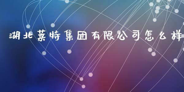 湖北莱特集团有限公司怎么样_https://m.fansifence.com_消费金融_第1张