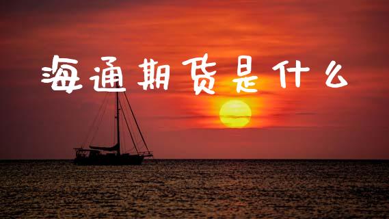 海通期货是什么_https://m.fansifence.com_消费金融_第1张