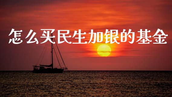 怎么买民生加银的基金_https://m.fansifence.com_公募基金_第1张