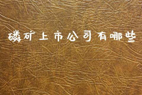 磷矿上市公司有哪些_https://m.fansifence.com_消费金融_第1张