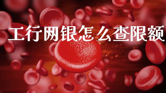 工行网银怎么查限额_https://m.fansifence.com_公募基金_第1张