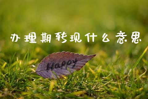 办理期转现什么意思_https://m.fansifence.com_个股行情_第1张