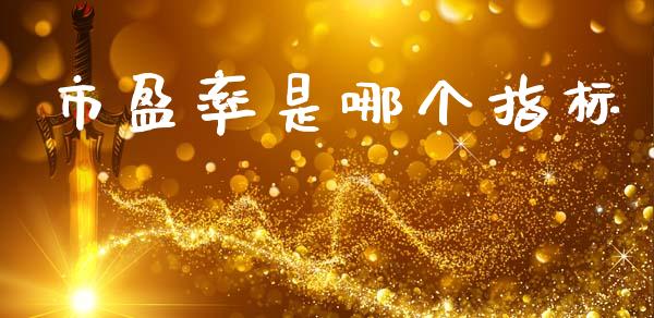 市盈率是哪个指标_https://m.fansifence.com_消费金融_第1张