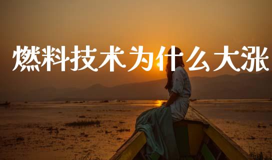燃料技术为什么大涨_https://m.fansifence.com_贵金属行情_第1张