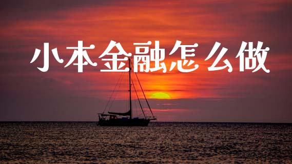 小本金融怎么做_https://m.fansifence.com_消费金融_第1张
