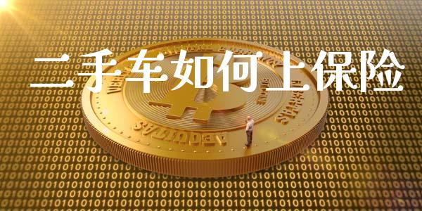 二手车如何上保险_https://m.fansifence.com_公募基金_第1张