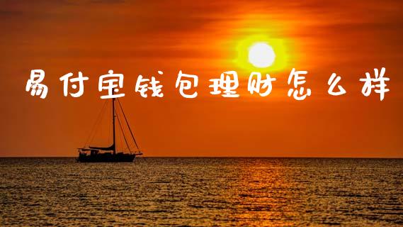 易付宝钱包理财怎么样_https://m.fansifence.com_公募基金_第1张