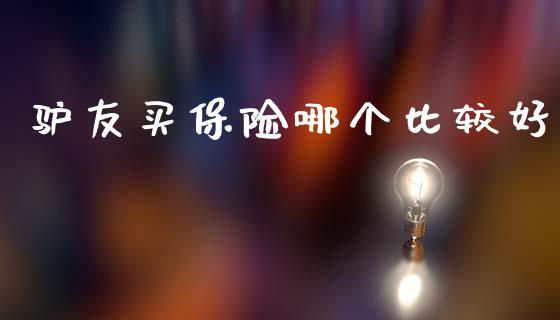 驴友买保险哪个比较好_https://m.fansifence.com_个股行情_第1张