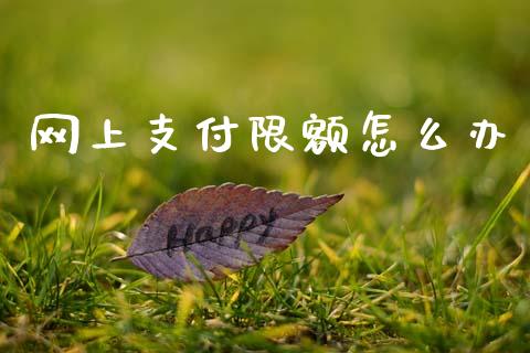 网上支付限额怎么办_https://m.fansifence.com_消费金融_第1张