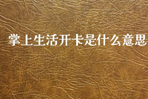 掌上生活开卡是什么意思_https://m.fansifence.com_公募基金_第1张