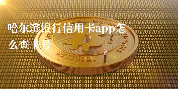 哈尔滨银行信用卡app怎么查卡号_https://m.fansifence.com_消费金融_第1张