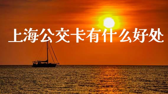 上海公交卡有什么好处_https://m.fansifence.com_贵金属行情_第1张