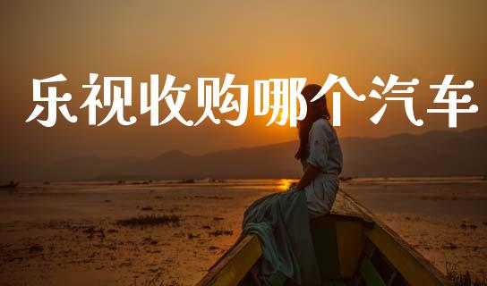 乐视收购哪个汽车_https://m.fansifence.com_消费金融_第1张