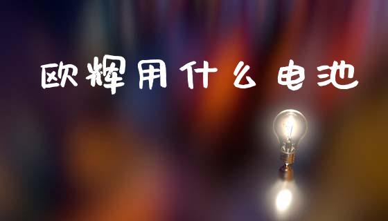 欧辉用什么电池_https://m.fansifence.com_个股行情_第1张
