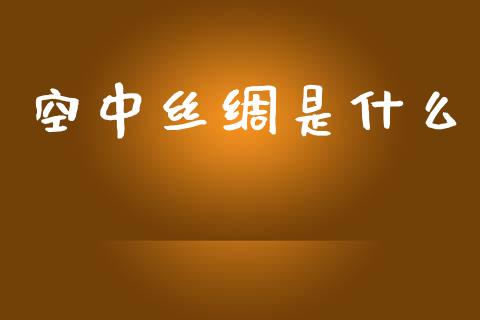 空中丝绸是什么_https://m.fansifence.com_公募基金_第1张