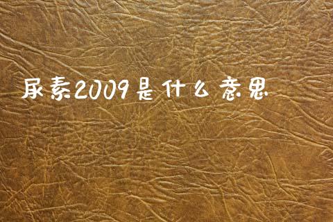 尿素2009是什么意思_https://m.fansifence.com_公募基金_第1张