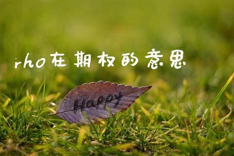 rho在期权的意思_https://m.fansifence.com_贵金属行情_第1张
