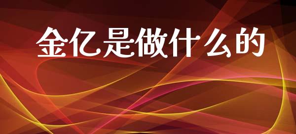 金亿是做什么的_https://m.fansifence.com_消费金融_第1张