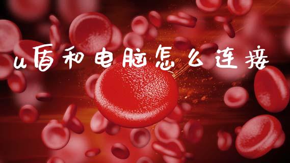 u盾和电脑怎么连接_https://m.fansifence.com_消费金融_第1张