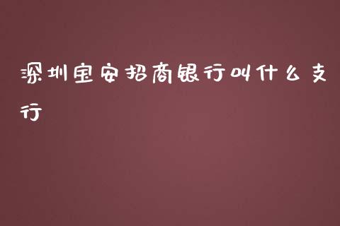 深圳宝安招商银行叫什么支行_https://m.fansifence.com_公募基金_第1张