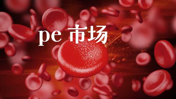 pe 市场_https://m.fansifence.com_公募基金_第1张