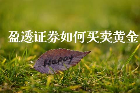 盈透证券如何买卖黄金_https://m.fansifence.com_贵金属行情_第1张
