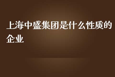 上海中盛集团是什么性质的企业_https://m.fansifence.com_公募基金_第1张