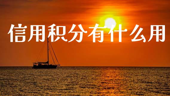 信用积分有什么用_https://m.fansifence.com_消费金融_第1张