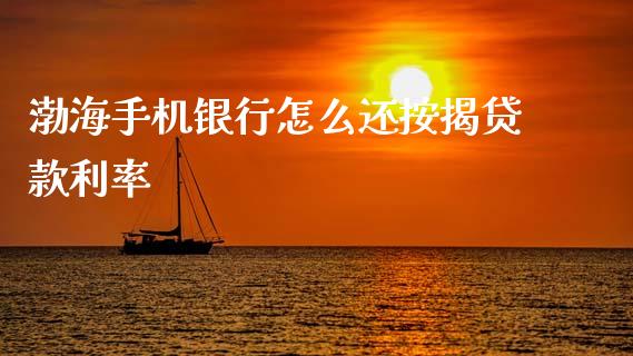 渤海手机银行怎么还按揭贷款利率_https://m.fansifence.com_公募基金_第1张
