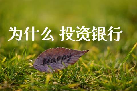 为什么 投资银行_https://m.fansifence.com_贵金属行情_第1张