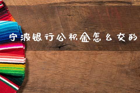 宁波银行公积金怎么交的_https://m.fansifence.com_消费金融_第1张
