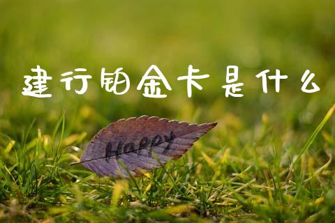 建行铂金卡是什么_https://m.fansifence.com_贵金属行情_第1张
