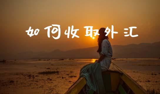 如何收取外汇_https://m.fansifence.com_消费金融_第1张