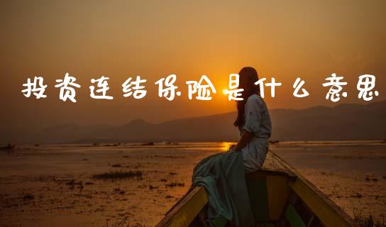 投资连结保险是什么意思_https://m.fansifence.com_消费金融_第1张