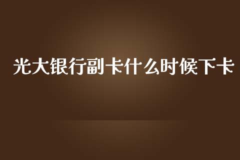 光大银行副卡什么时候下卡_https://m.fansifence.com_贵金属行情_第1张