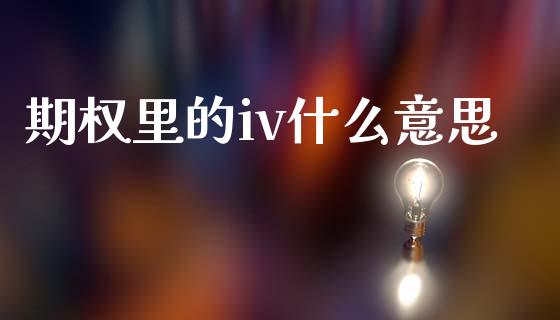 期权里的iv什么意思_https://m.fansifence.com_个股行情_第1张