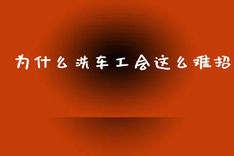 为什么洗车工会这么难招_https://m.fansifence.com_公募基金_第1张
