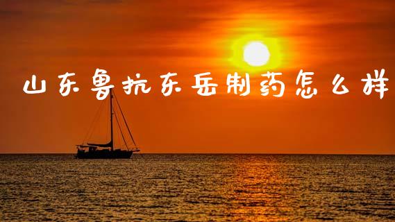 山东鲁抗东岳制药怎么样_https://m.fansifence.com_贵金属行情_第1张